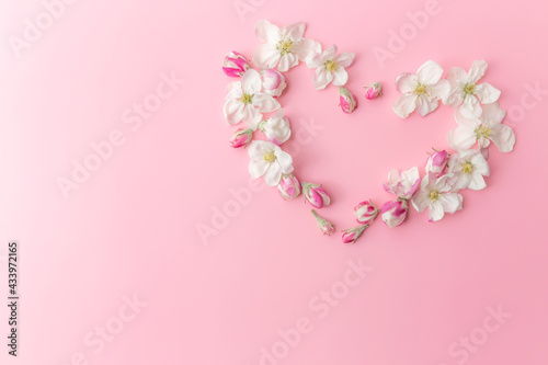 Flat lay on pink background with apple blossom heart shape ornament border © Lena Ivanova