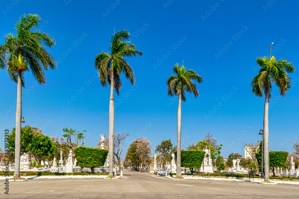 Colon Cemetery in Havana, Cuba