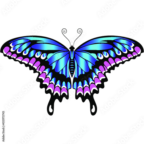 Beautiful delicate air butterfly of blue color with purple ornaments.Vector graphics on a white background.