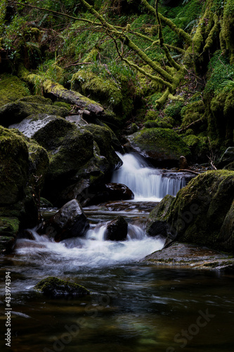 Fototapeta Naklejka Na Ścianę i Meble -  Torc Waterfall lower section, Killarney National Park, County Kerry, Ireland.