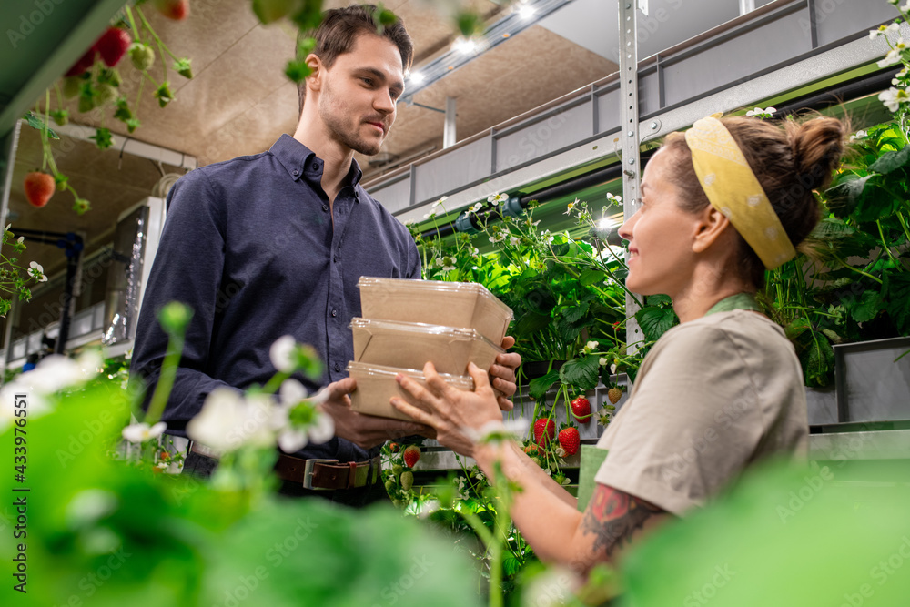 A man and a woman holding boxes with fresh strawberries inside vertical farm A man and a woman holding boxes with fresh strawberries inside vertical farm