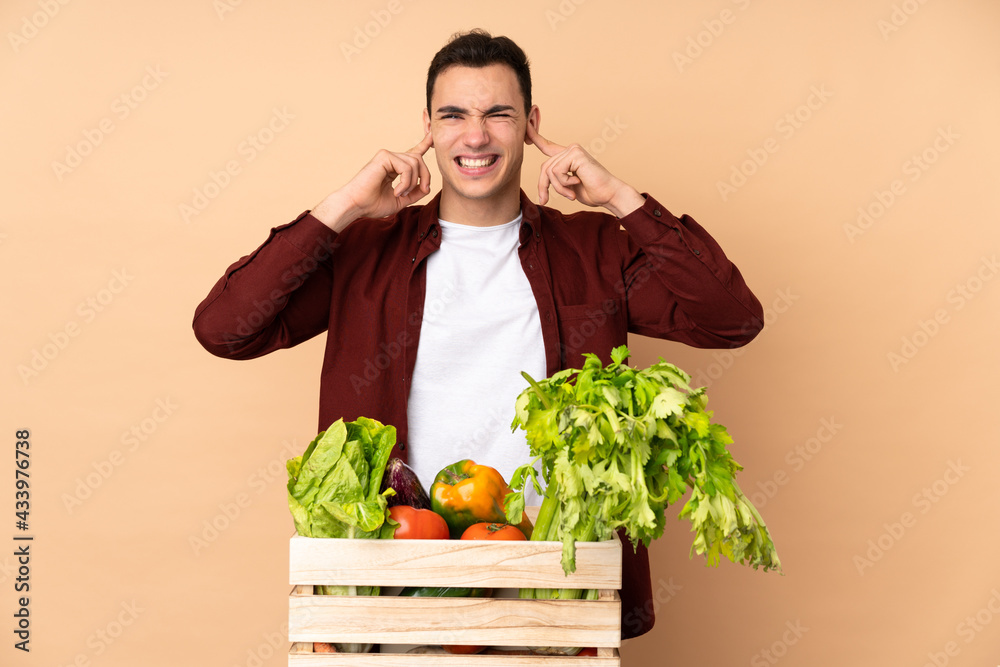 Farmer with freshly picked vegetables in a box isolated on beige background frustrated and covering ears Farmer with freshly picked vegetables in a box isolated on beige background frustrated and covering ears