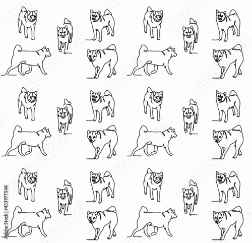 set continuous drawing of a single line of the Japanese Shikoku dog, close-up, in different angles