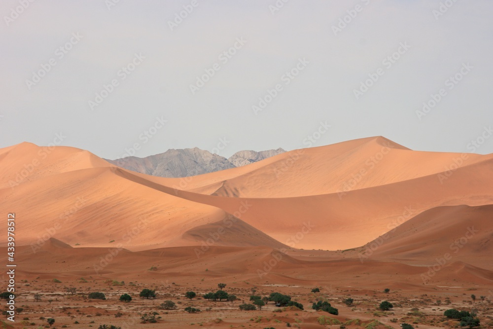 Namib-Naukluft National Park sand dunes and landscape, Namibia.