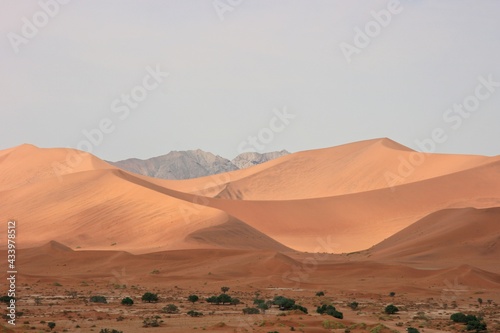 Namib-Naukluft National Park sand dunes and landscape  Namibia.