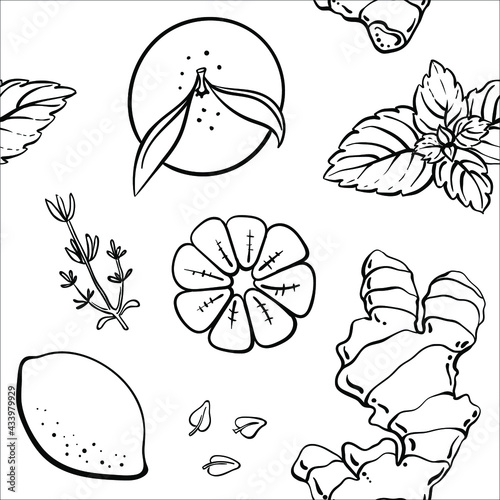 Seamless pattern with fruits and herbs for immunity system stimulation in black line sketchy style isolated on white background. Doodle hand drawn vector illustration