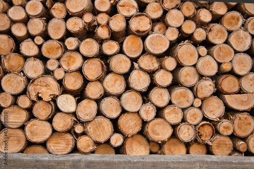 Legni per legna impilati da ardere in trentino