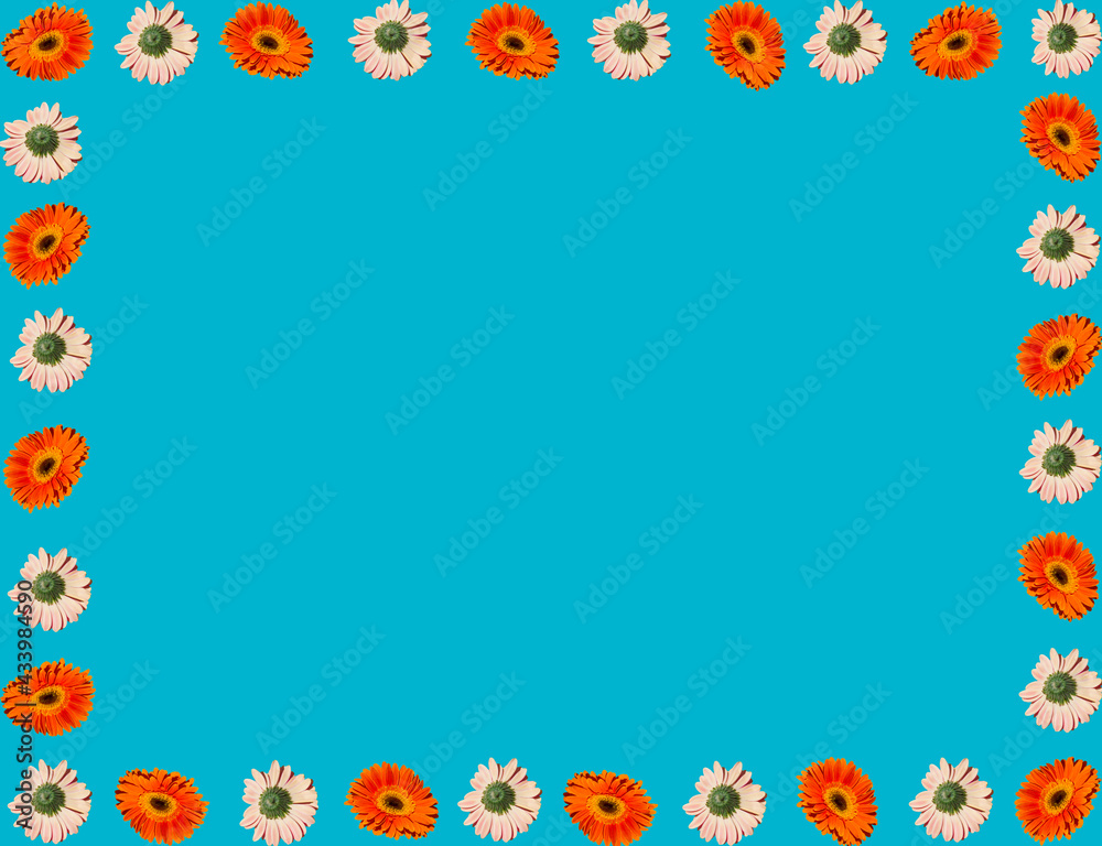 Creative spring or summer frame background made with various daisy flowers on sky blue background. Flat lay social mockup with copy space. Creative spring or summer frame background made with various daisy flowers on sky blue background. Flat lay social mockup with copy space.