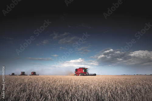 Mechanized harvesting of grain in an agricultural field. Bright, evening, summer landscape with a combine harvester. Idyllic rural background, wallpaper, design. Selective, soft focus. Tinted photo.