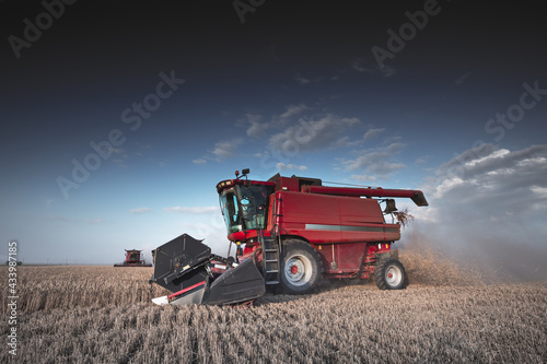 Mechanized harvesting of grain in an agricultural field. Bright, evening, summer landscape with a combine harvester. Idyllic rural background, wallpaper, design. Selective, soft focus. Tinted photo.