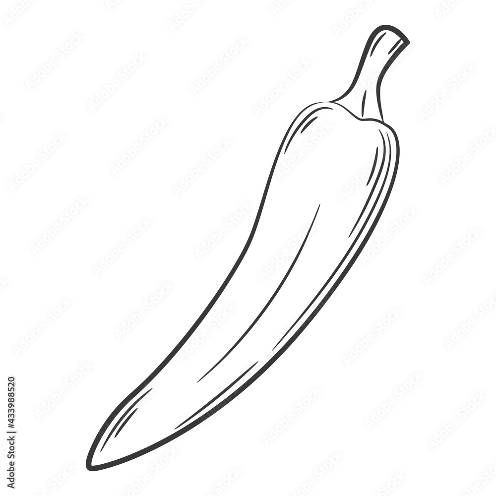 Chili Pepper. A vegetable in a linear style, drawn by hand. Food ingredient, design element.Lineart. Black and white vector illustration. Isolated on a white background Chili Pepper. A vegetable in a linear style, drawn by hand. Food ingredient, design element.Lineart. Black and white vector illustration. Isolated on a white background