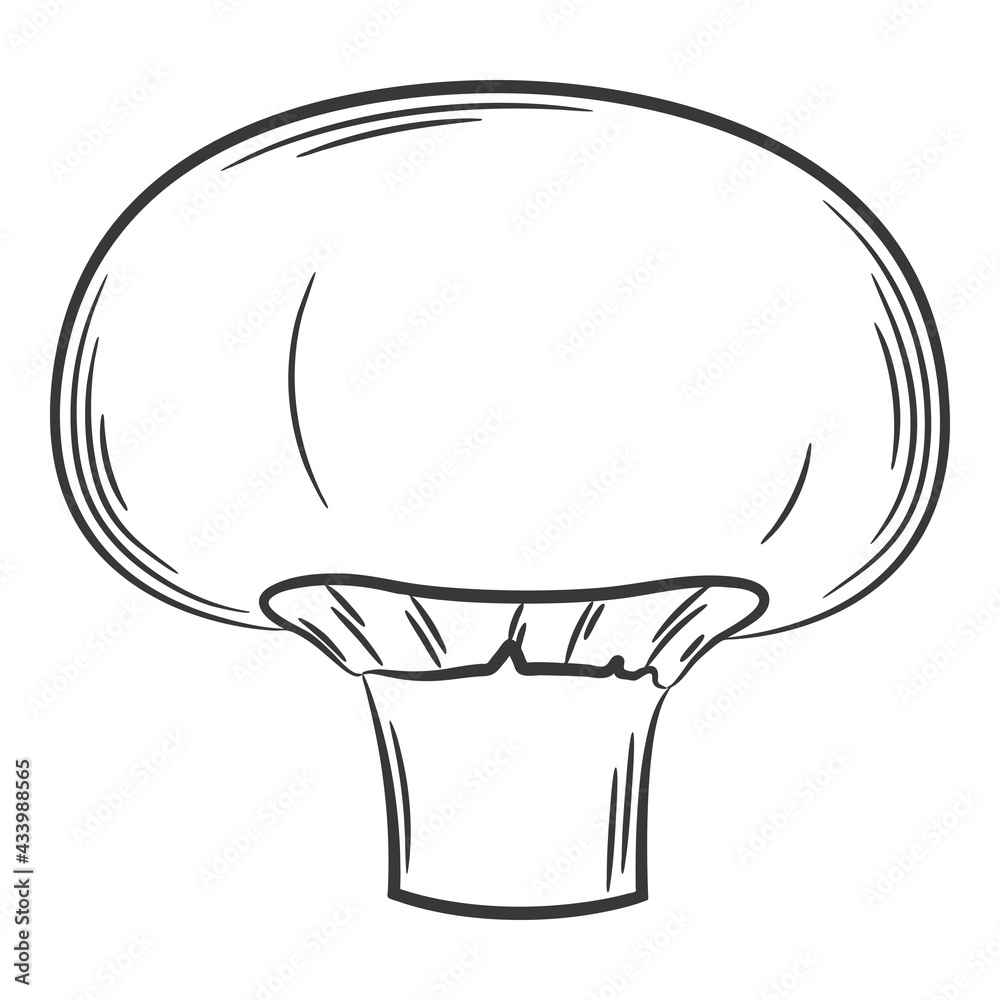 Champignon, mushroom. A vegetable in a linear style, drawn by hand. Food ingredient, design element.Lineart. Black and white vector illustration. Isolated on a white background Champignon, mushroom. A vegetable in a linear style, drawn by hand. Food ingredient, design element.Lineart. Black and white vector illustration. Isolated on a white background