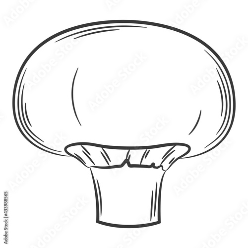 Champignon, mushroom. A vegetable in a linear style, drawn by hand. Food ingredient, design element.Lineart. Black and white vector illustration. Isolated on a white background