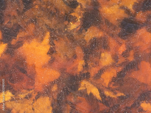 Wallpaper Mural Fall Leaves Frozen in a Pond Torontodigital.ca