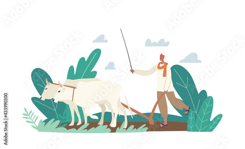 Indian Farmer in Traditional Clothes Work. Rural Asian Man Plowing Field by Cows Prepare Soil for Harvest Planting