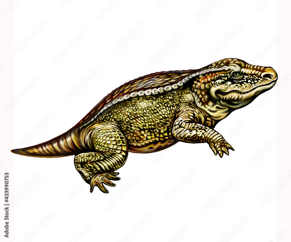 Obraz premium Amphibia Stegocephalia