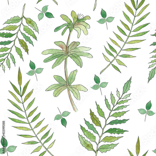 Watercolor Seamless leaf Pattern. Illustration of green plants on white Background. Botanical ornament for elegant textile fabric or wrapping paper