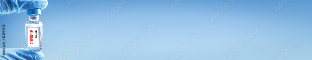 Doctor in blue latex gloves holding glass vial with Covid-19 vaccine. Long banner Doctor in blue latex gloves holding glass vial with Covid-19 vaccine. Long banner