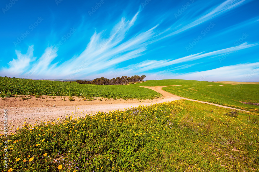 Obraz premium The dirt road crosses the valley