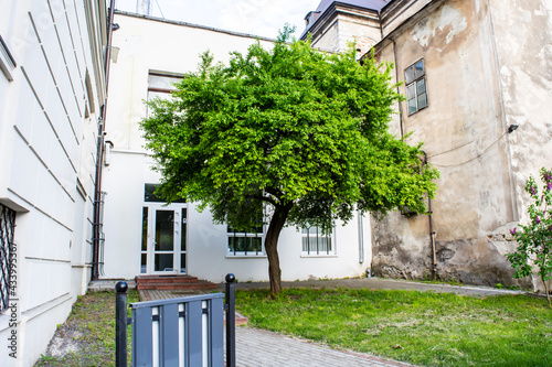 Fototapeta Naklejka Na Ścianę i Meble -  street in the town