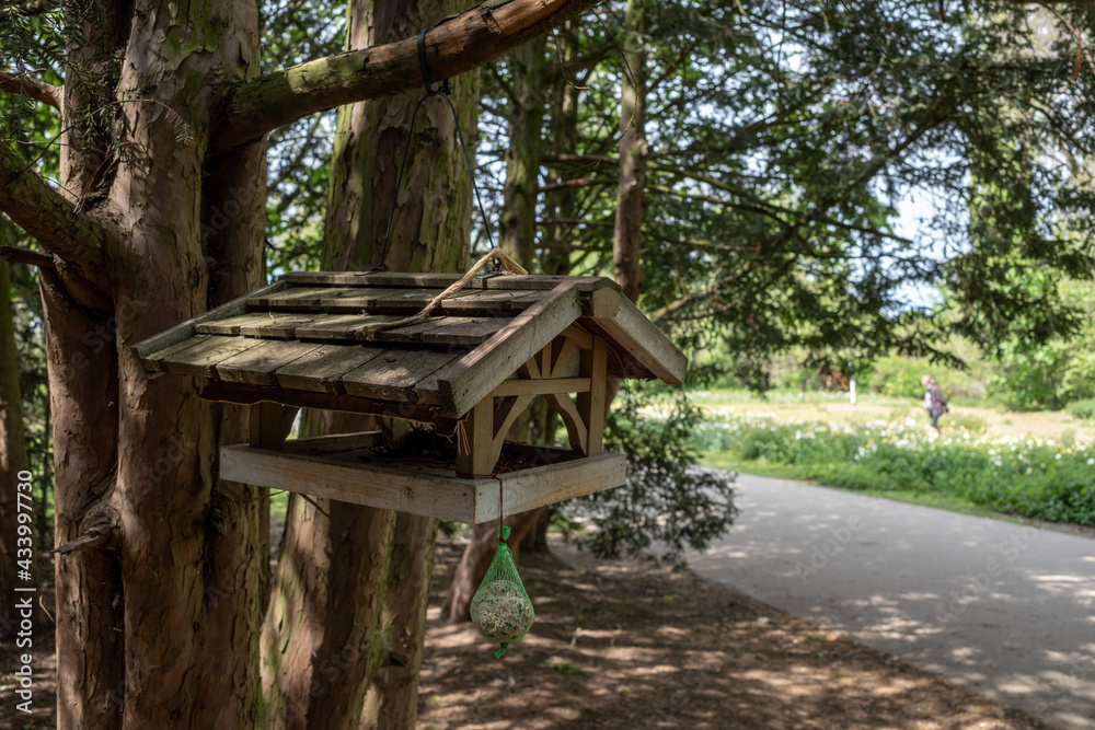 Selective focus view at wooden birdhouse hang under tree in park.