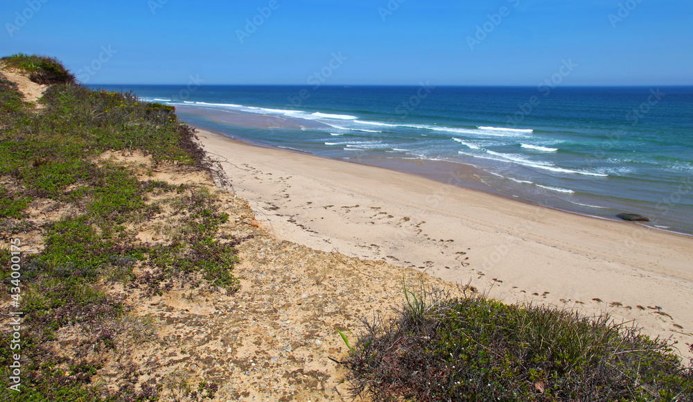 Dunes and Ocean at the Cape Cod National Seashore