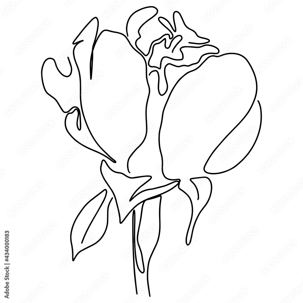 Fototapeta premium hand drawn Line art monoline flowers . Vector illustration