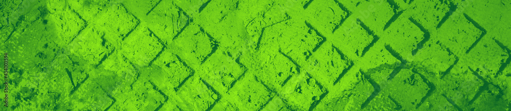 Fototapeta premium abstract green bright color background for design