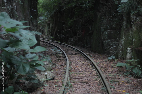 abandoned railway