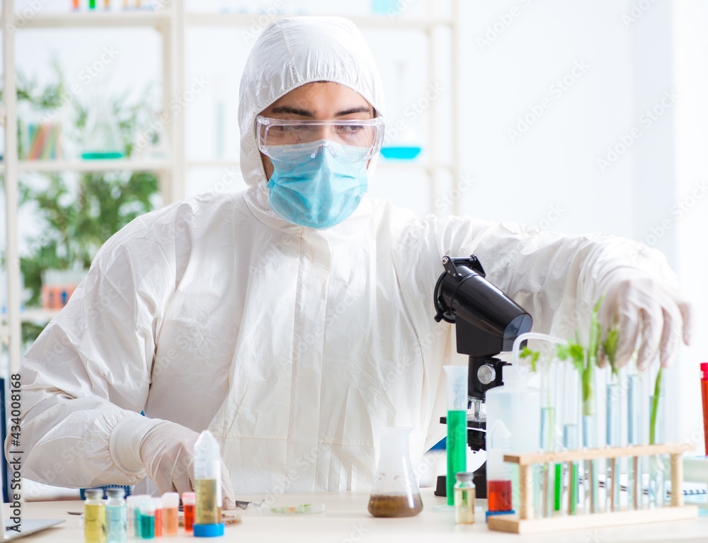 Male biochemist working in the lab on plants Male biochemist working in the lab on plants