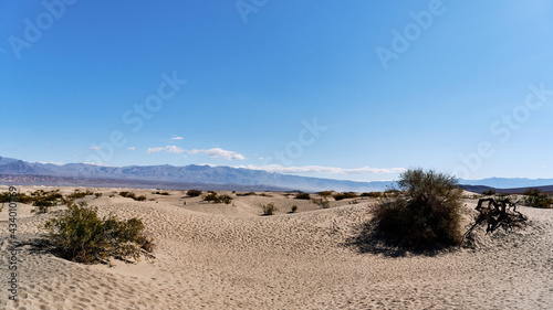 A family with a teenage girl is hiking in Mesquite Flat Sand Dunes  Death Valley National Park  California  USA during their road trip from Las Vegas to San Francisco in March 2021 amidst COVID-19