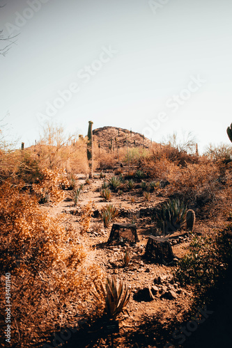 sunset in the desert