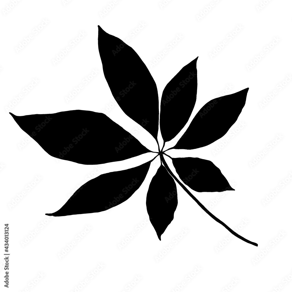 Leaves in black and white Leaves in black and white