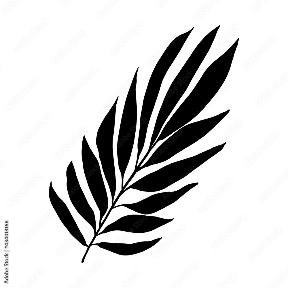 Leaves in black and white Leaves in black and white
