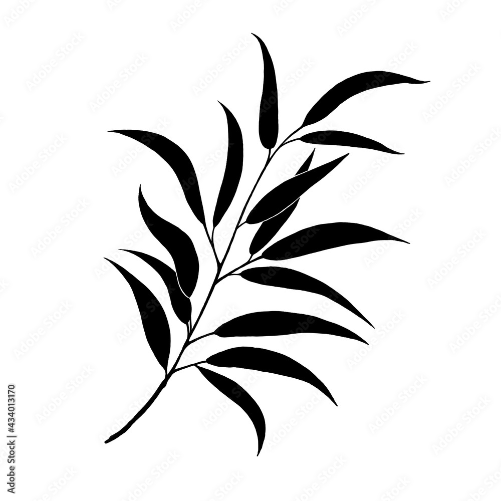 Leaves in black and white Leaves in black and white