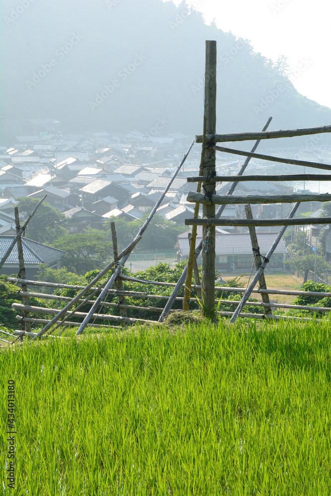Fototapeta premium 大沢の風景