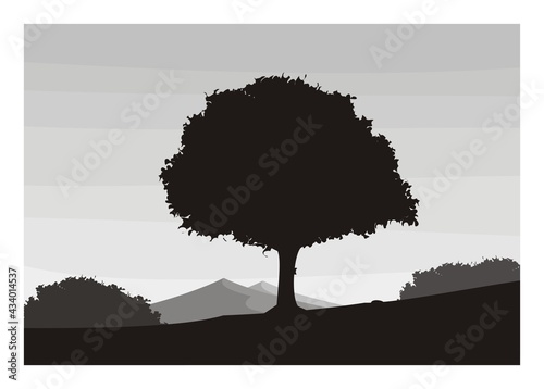 Tree silhouette with mountain background