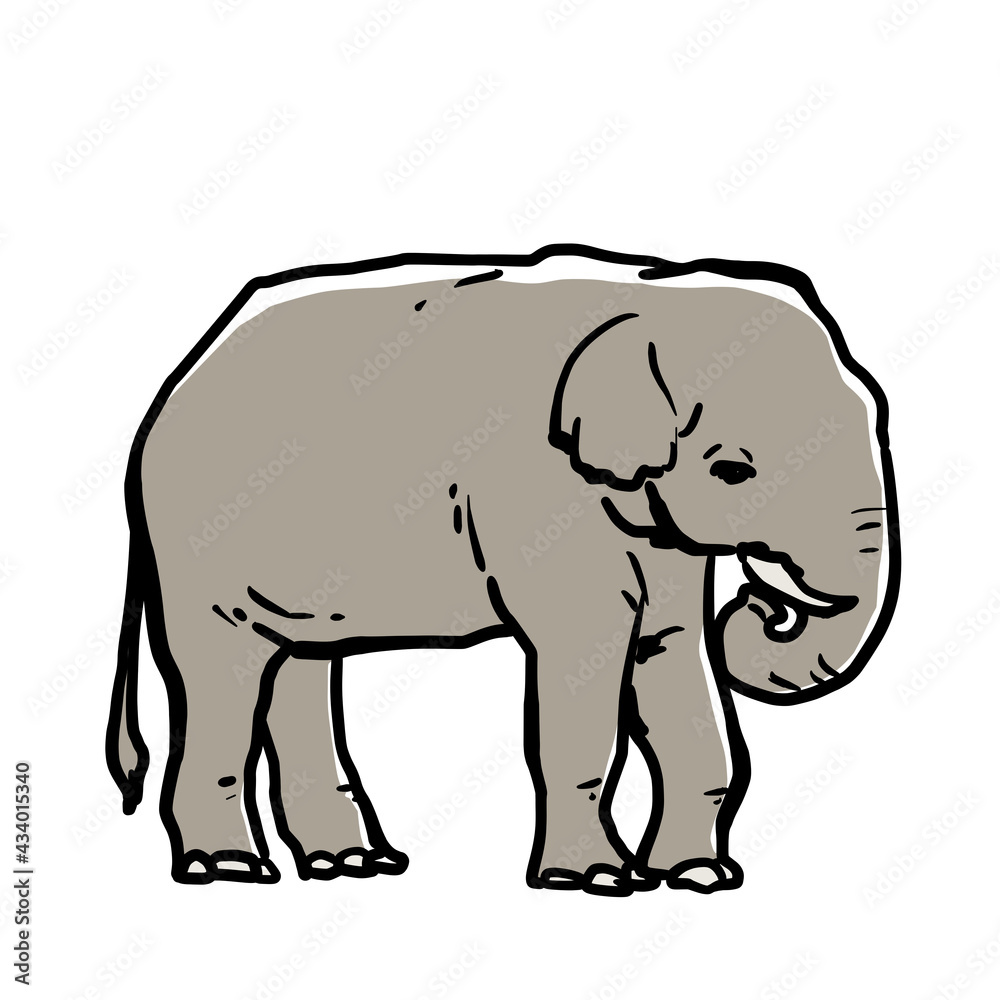 Simple and realistic elephant illustration