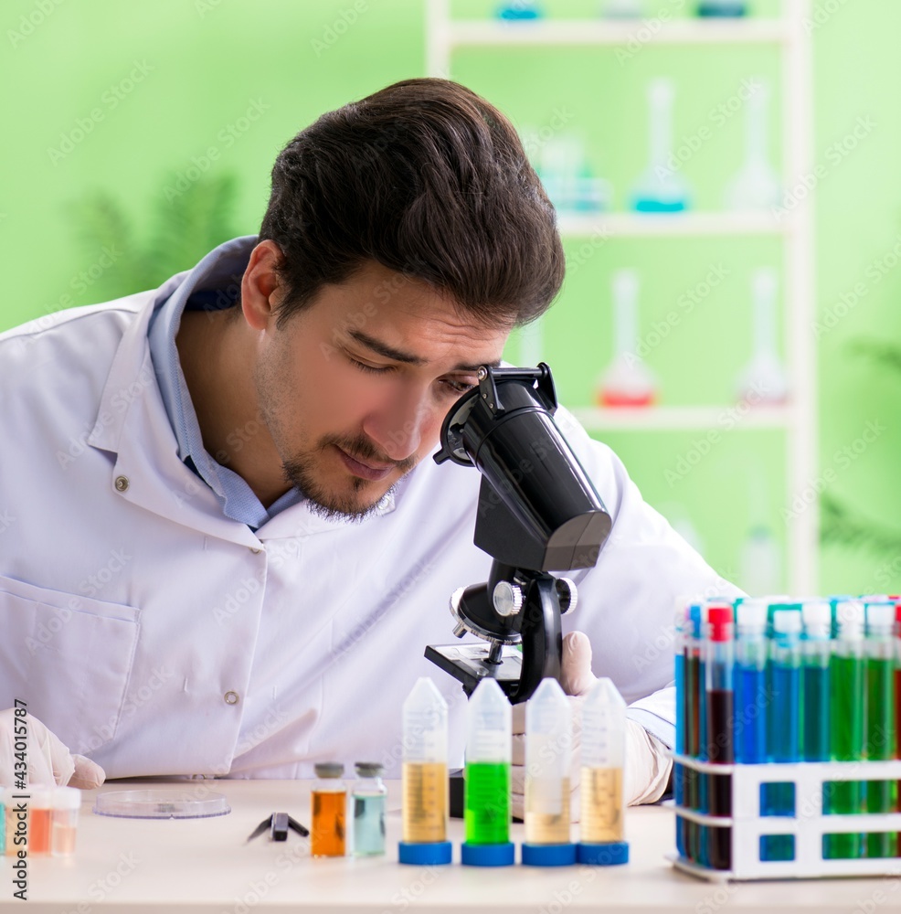 Man chemist working in the lab Man chemist working in the lab
