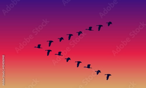 Paisaje de aves/pájaros migrando en el atardecer