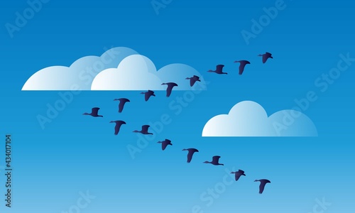 Paisaje de aves/pájaros migrando en el cielo azul