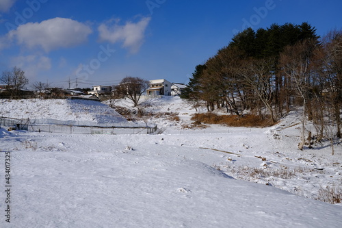 冬の崎山の風景 © BUTAKO