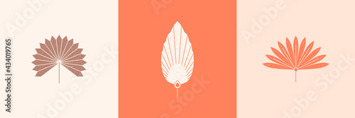 Set of Abstract Palm Leaves Silhouette in Simple Style. Vector Tropical Leaf Boho Emblem. Floral Illustration