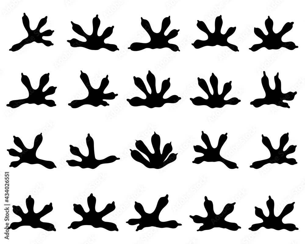 Black silhouettes of traces of lizards on a white background Black silhouettes of traces of lizards on a white background