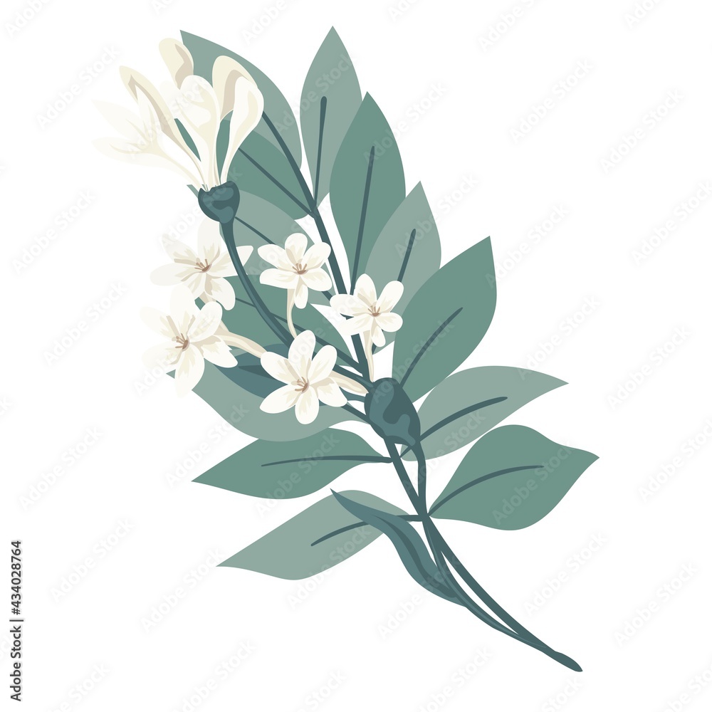 Bouquet of beautiful spring flowers. White flowers, leaves and branches. Flat isolated vector illustration.