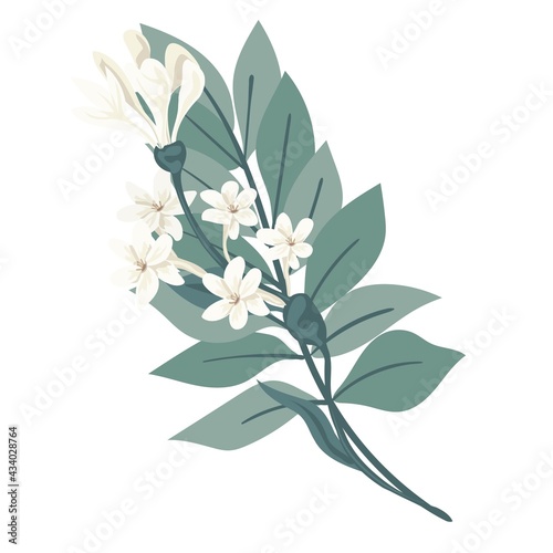 Bouquet of beautiful spring flowers. White flowers  leaves and branches. Flat isolated vector illustration.