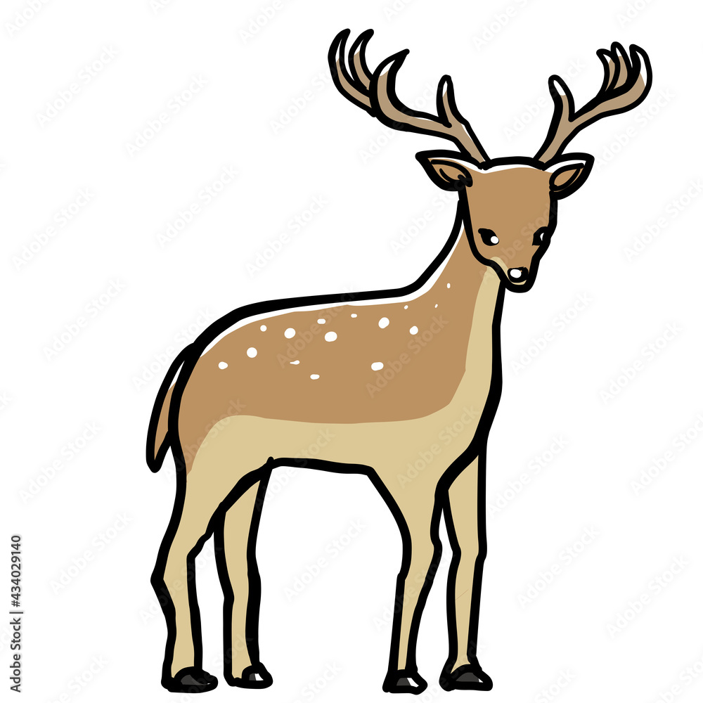 Simple and realistic deer illustration Simple and realistic deer illustration