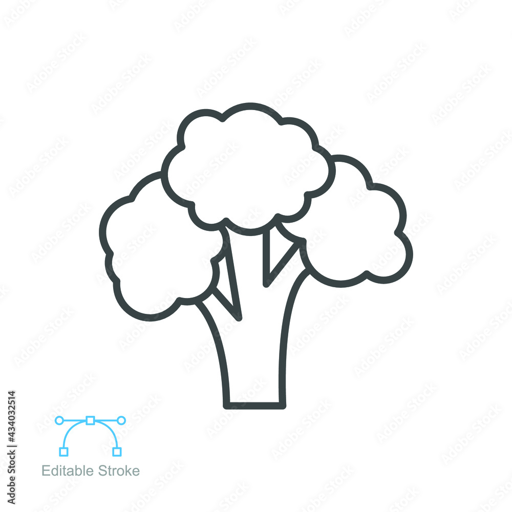 Broccoli icon. Nature vegetable organic food nutrition. Fresh healthy garden harvest. cabbage, cauliflower editable stroke outline style pictogram vector illustration design on white background EPS 10