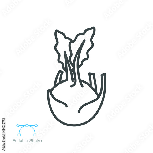 kohlrabi icon. fresh nature organic vegetable food. biennial vegetable stout cultivar of raw root Cabbage turnip outline style editable stroke vector illustration design on white background EPS 10