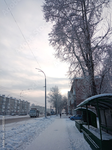 Urban landscape in winter. Strong frost. All the trees in the other. High quality photo
